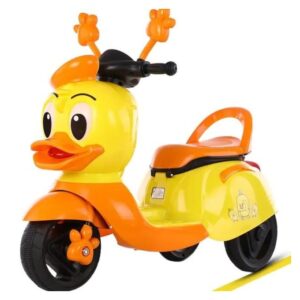 Electric Music Tricycle