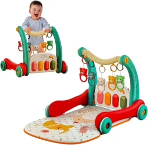Baby Walker with Mat