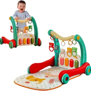 Baby Walker with Mat