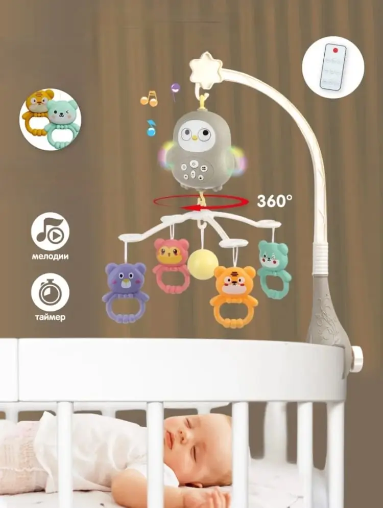 WhatsApp Image 2026-01-06 at 15.59.49