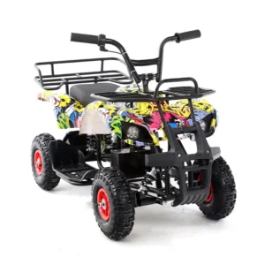 electric quad bike - بيتش باجي